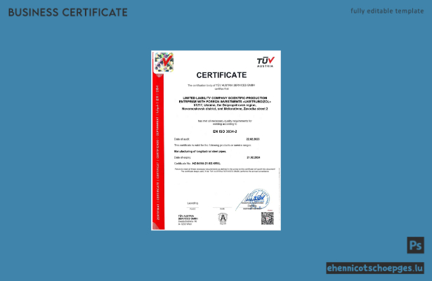 Österreichisches TÜV-Registrierungszertifikat – Beispielvorschau in Word und PDF
